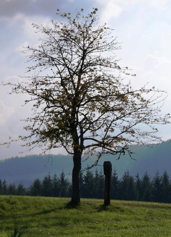 Ferienwohnung Tischneck Schramberg Esterno foto